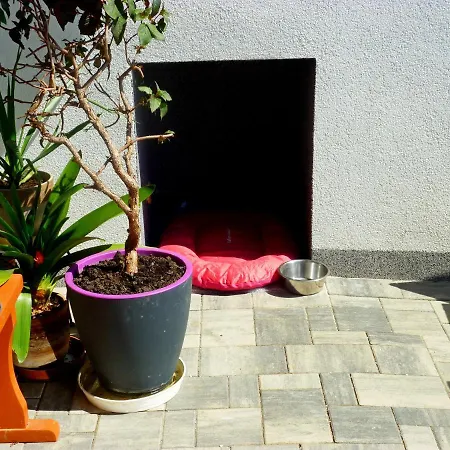 Aradise Apartmán Turnov